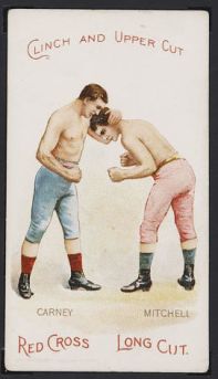 N266 Carney vs Mitchell Boxing.jpg